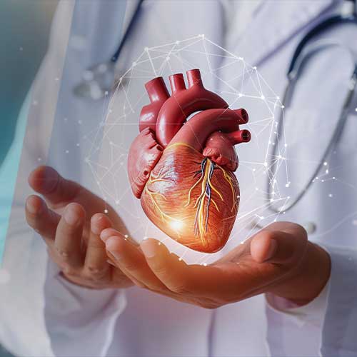 Cardiology care illustration
